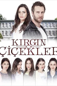 Обиженные цветы 1 сезон турецкий сериал